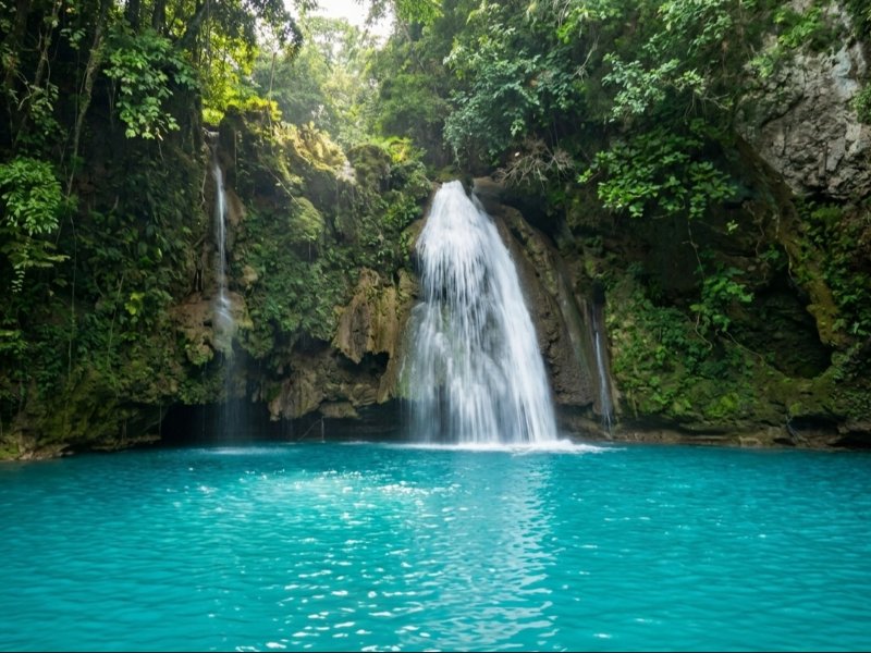 Exclusive Sardines Run Moalboal and Kawasan Canyoneering Badian