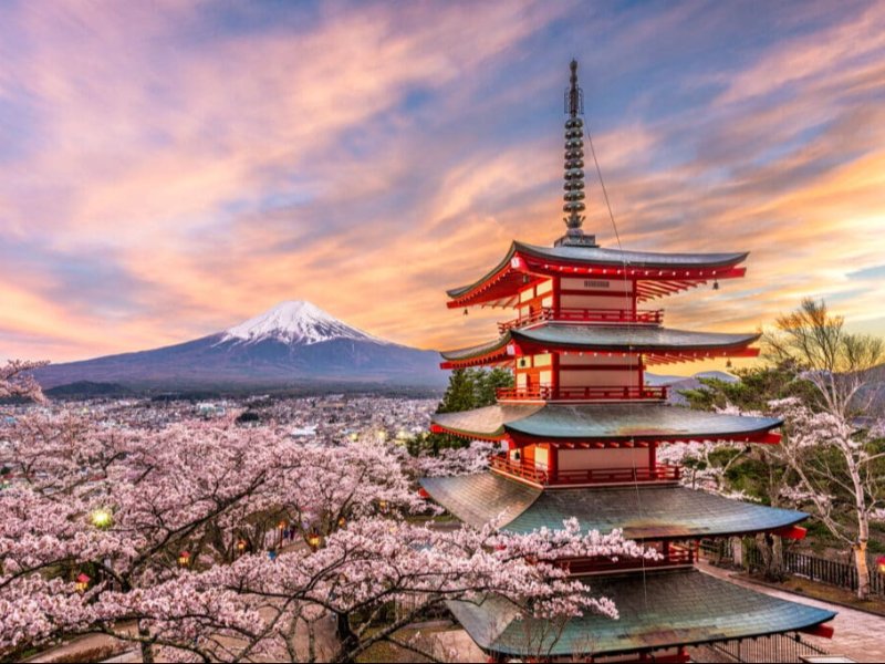 Japan | Tokyo & Sakura City Highlights (4D3N)